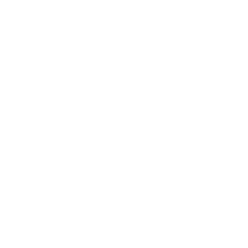 Icon Megaphone von Social Recruiting
