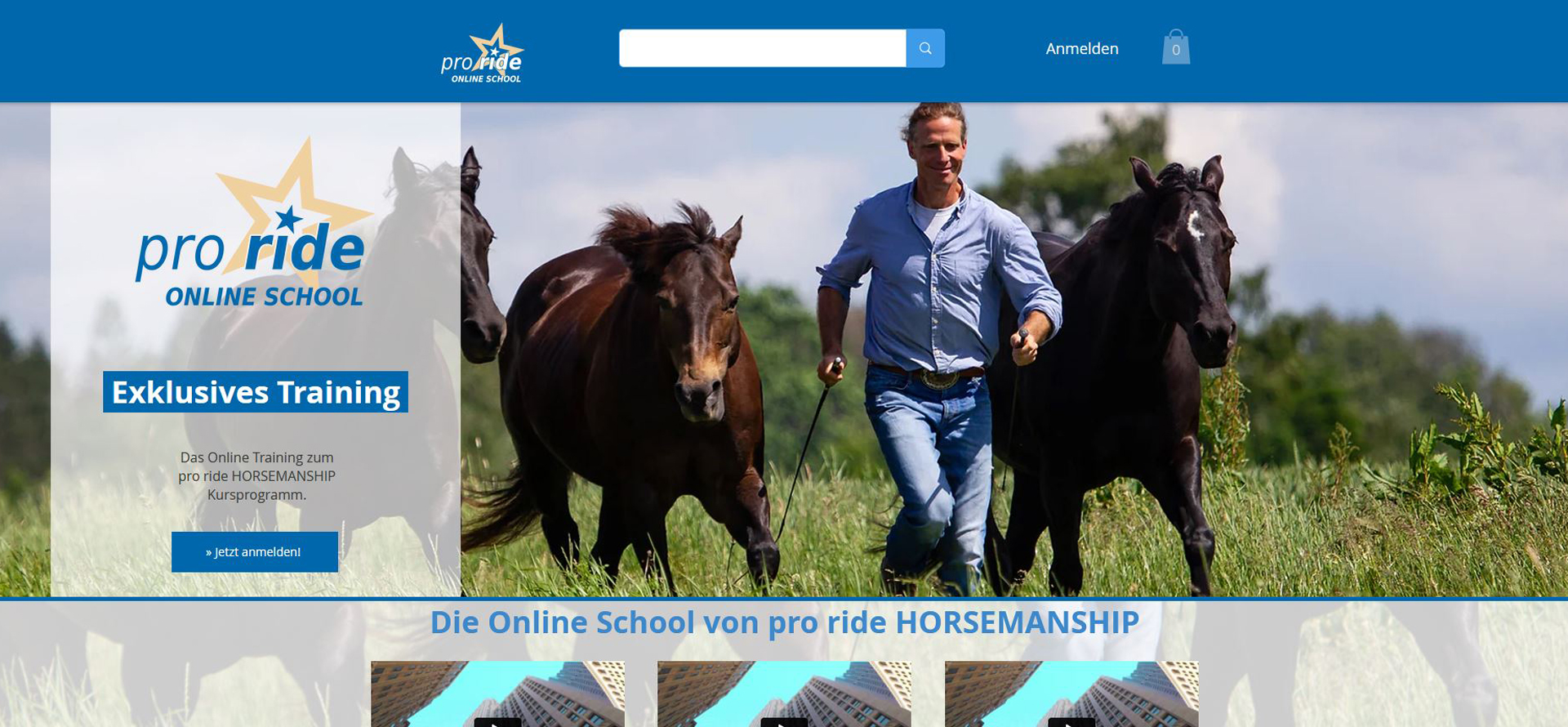 pro ride Horsemanship Onlineschool
